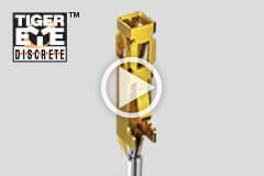 Tiger Eye™ 离散视频