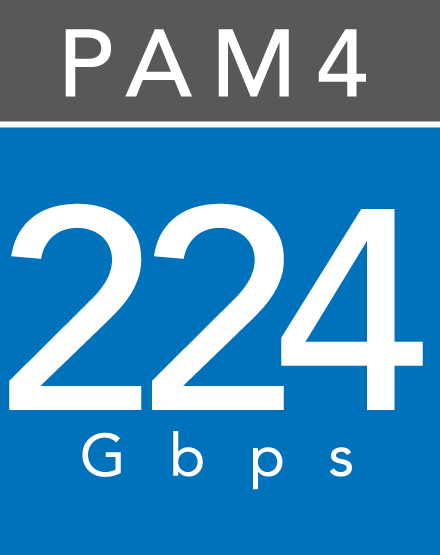 224 Gbps PAM4 Logotype