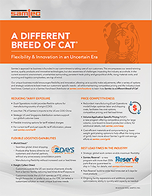 A Different Breed Of Cat - eBrochure