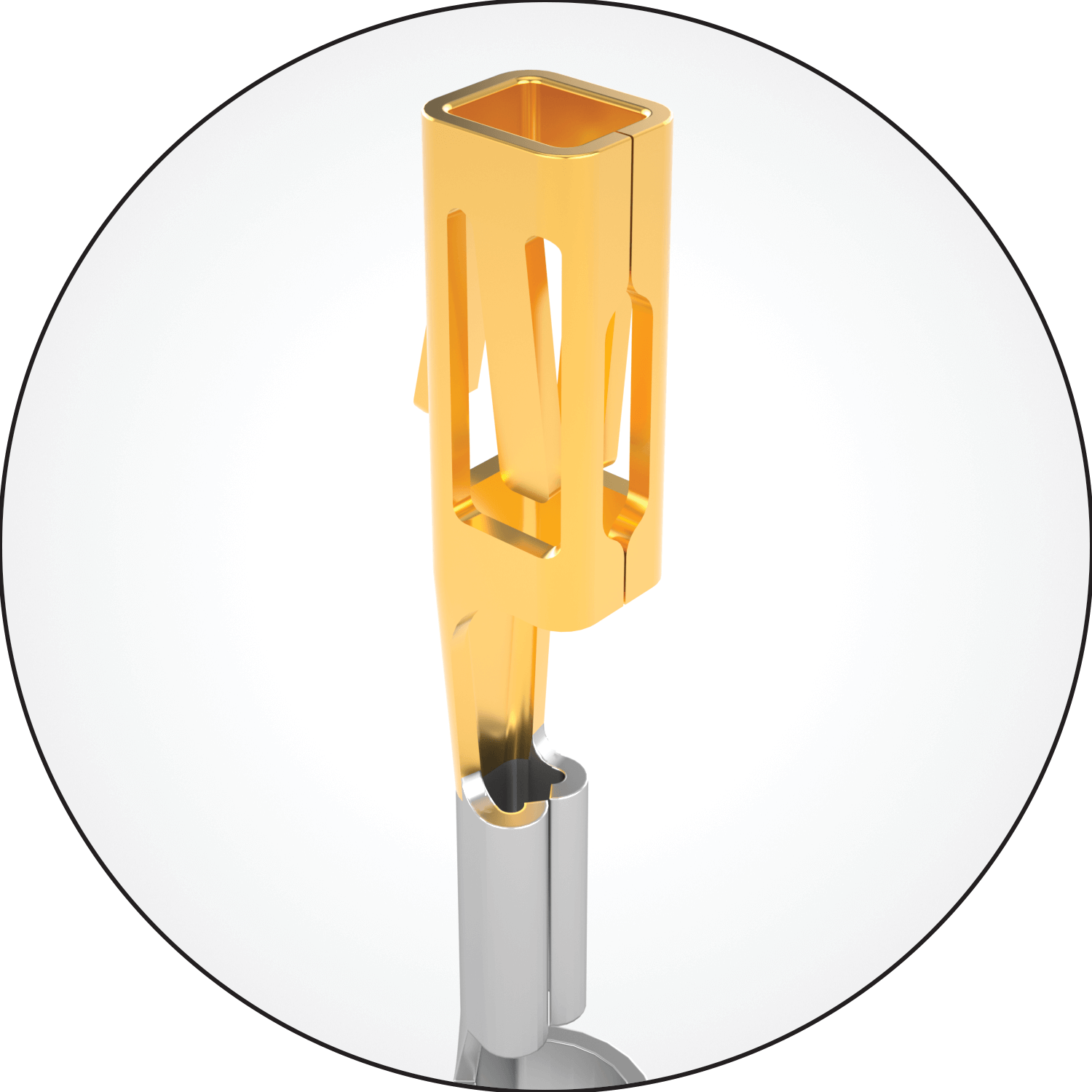 Mini Mate Contact Detail