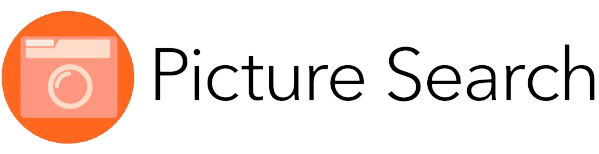 图片搜索标识