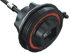 SCRUS系列缩略图